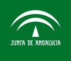 Indicadores de género