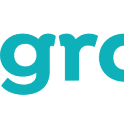 Diversity, Equity and Inclusion Consultant and Strategist